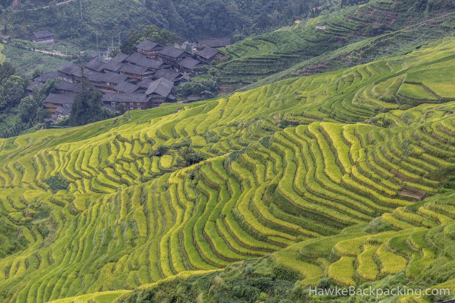 Longji Rice Terraces - HawkeBackpacking.com