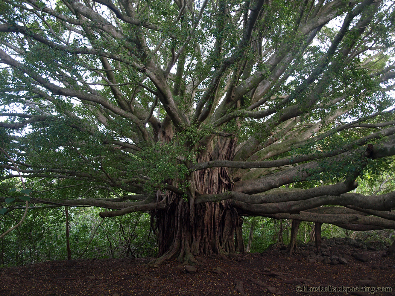 Road To Hana Hawkebackpacking Com